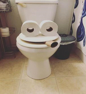 Toilet1