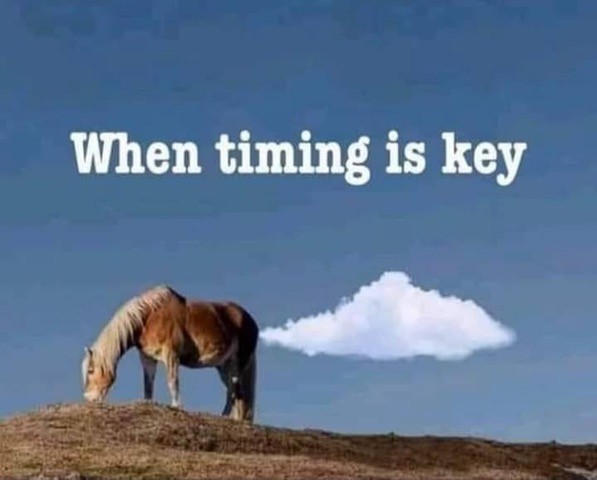 timing