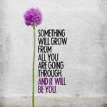 A purple flower with the words " something will grow from all you are going through and it will be you ".