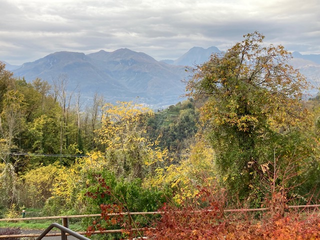 A view of mountains and trees from the top of a hill.